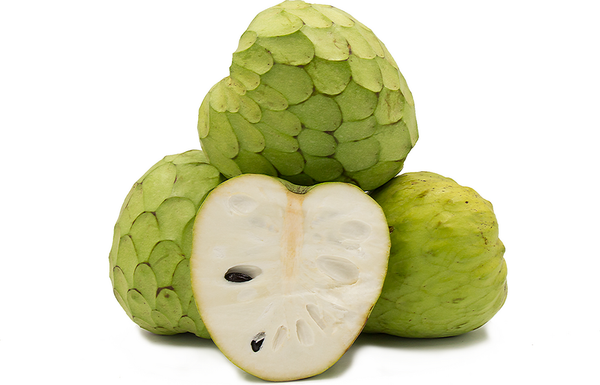 Cherimoya Fruit 8 LB