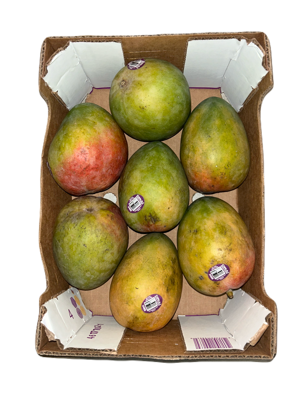 Keitt Mangoes 10 LBS