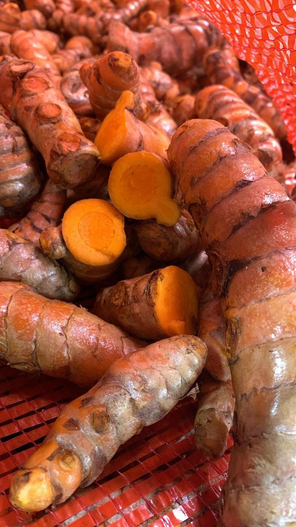 Organic Turmeric 5 LB